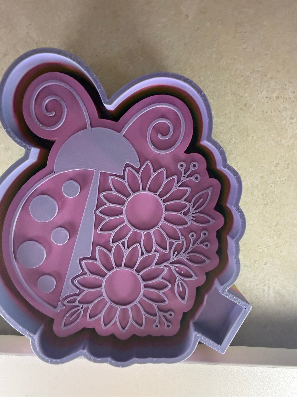 Ladybug mold
